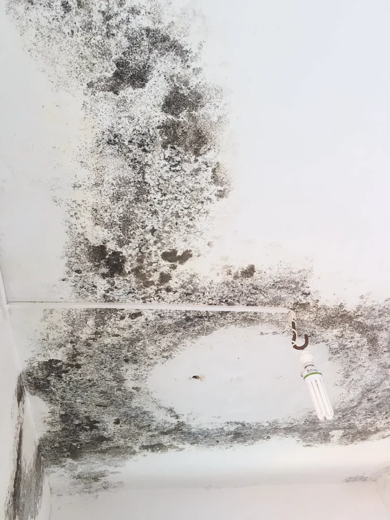 Early Signs of Home Leaks and How to Prevent Damage with Smart Devices 2 Moldy ceiling