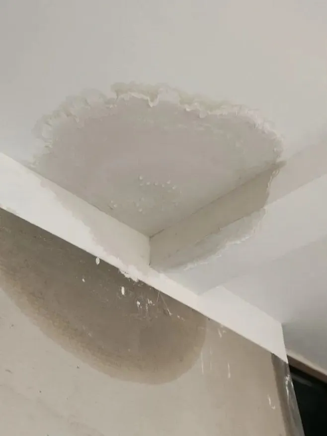 Early Signs of Home Leaks and How to Prevent Damage with Smart Devices 1 Water Stains on Walls, Ceilings